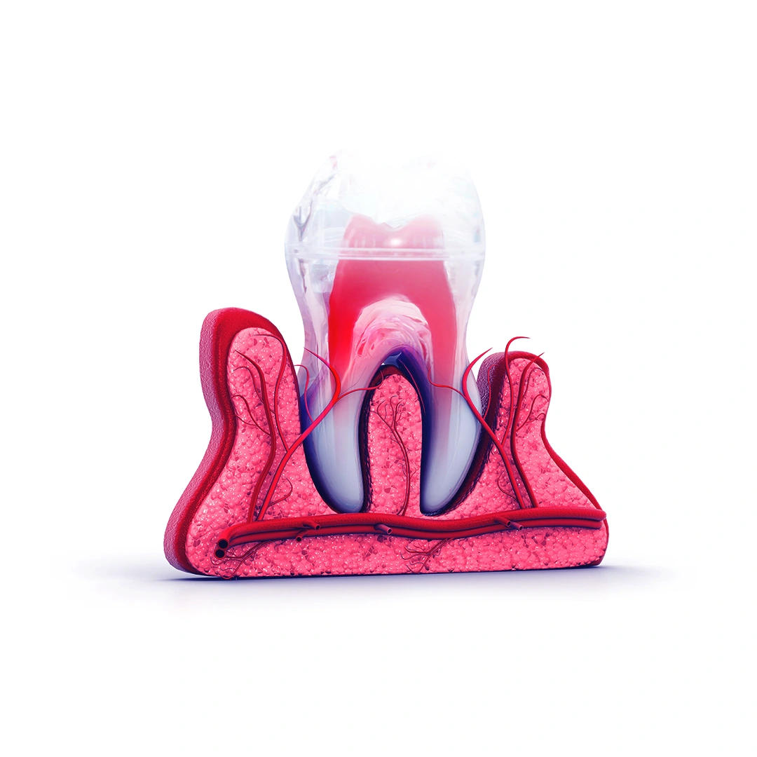 DrZeina-services-periodontics-Featured-image